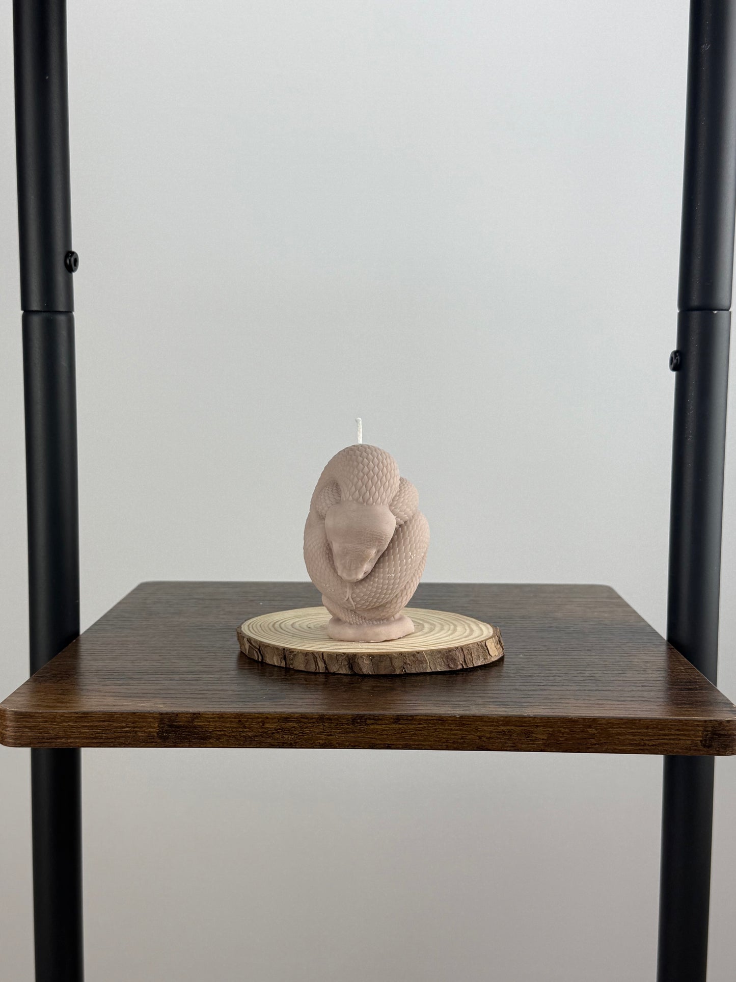 Snake Wrapped Candle