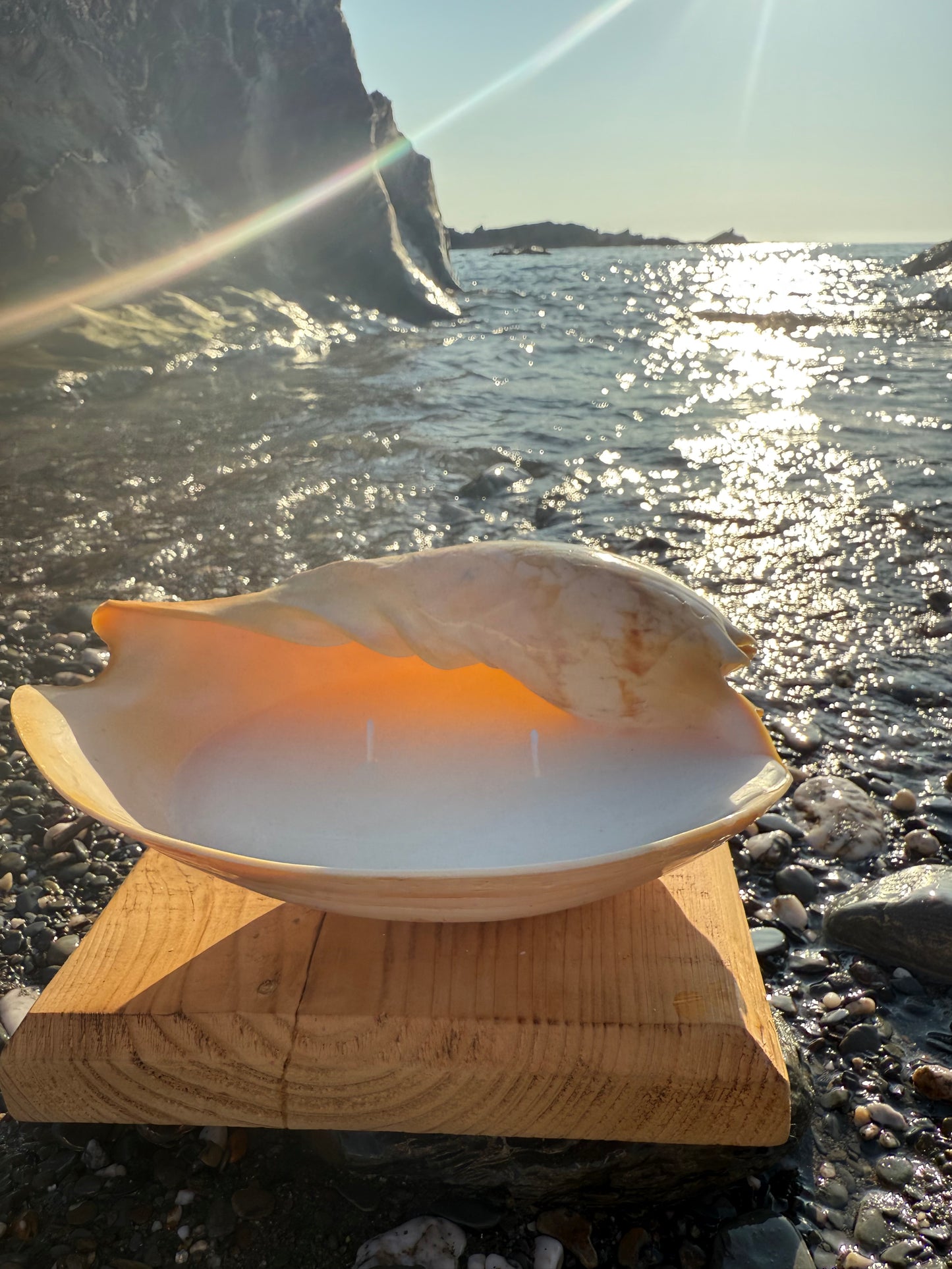 Large Sea Shell Candle