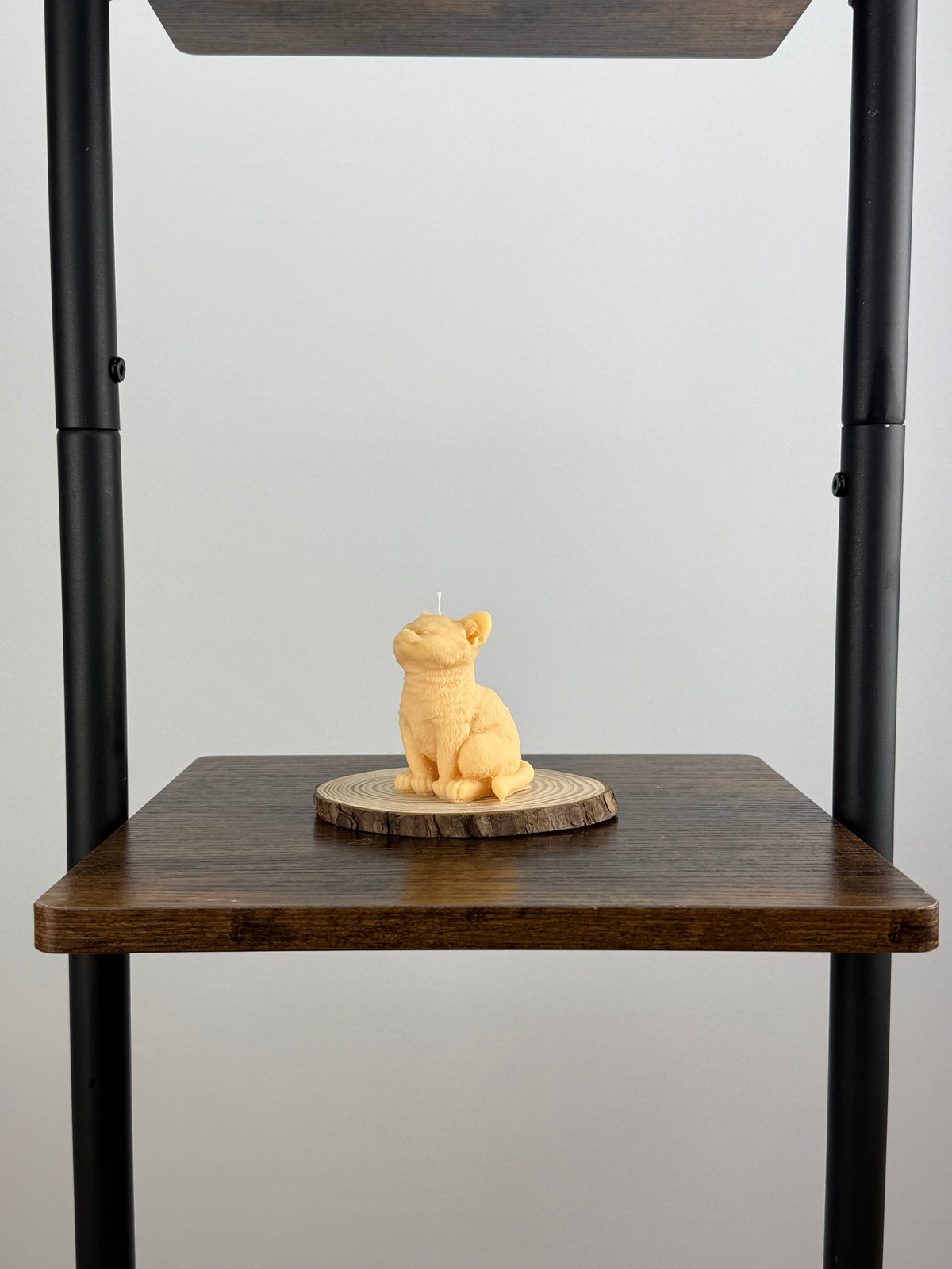 Kitten Cat Candle