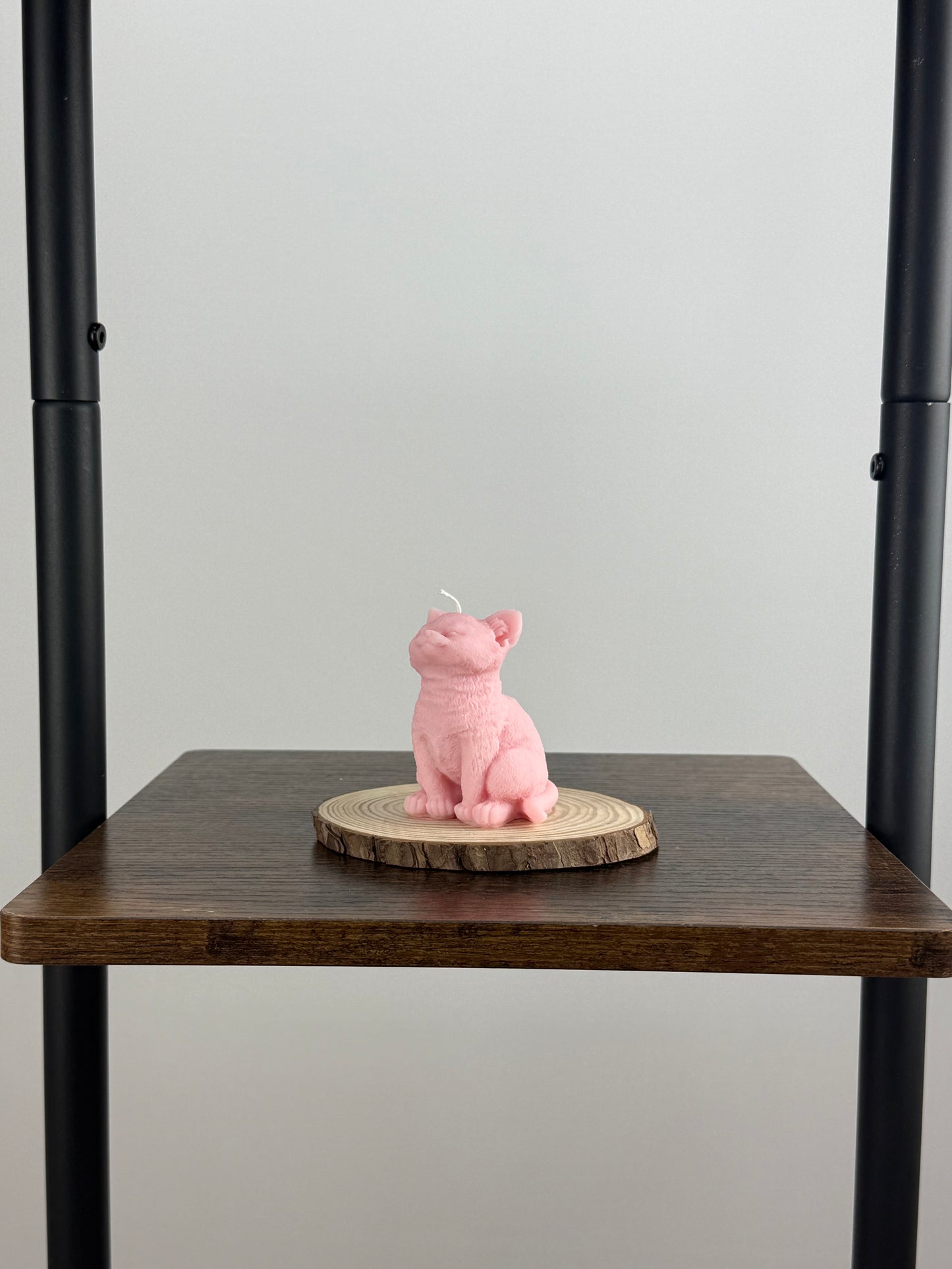 Cat Candle