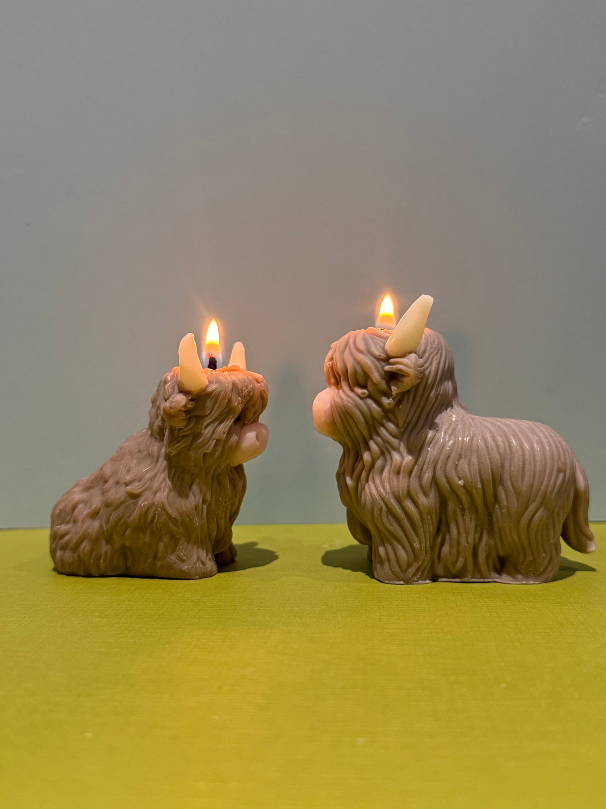 HighLand Cow Candles