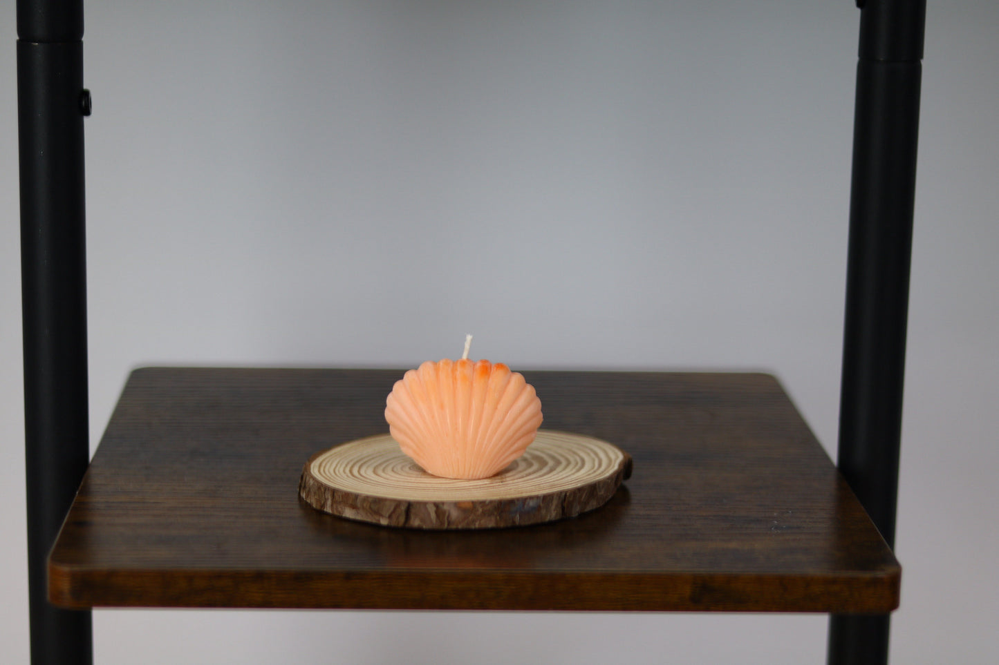 Small Shell Candle