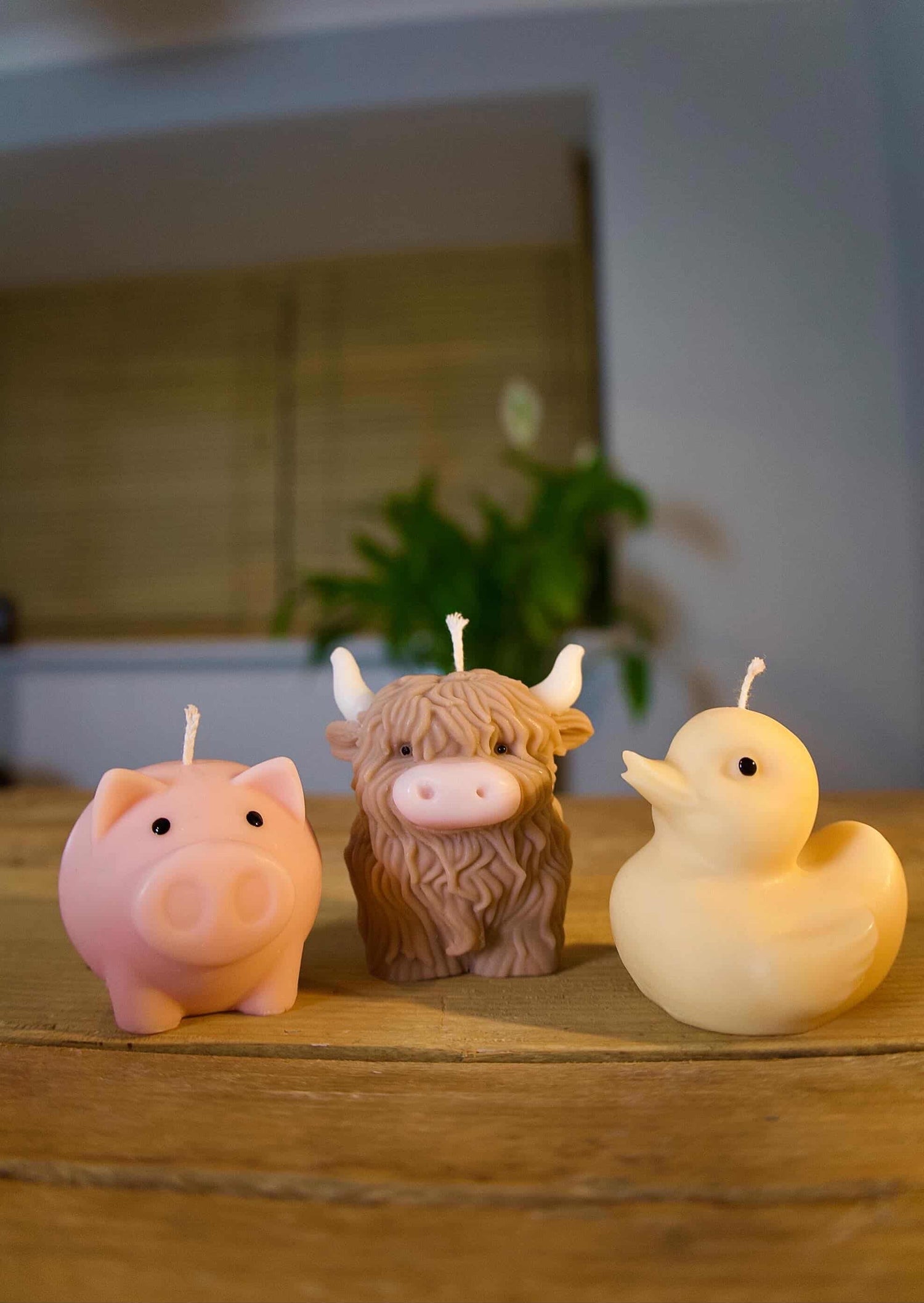 Friendship Candles