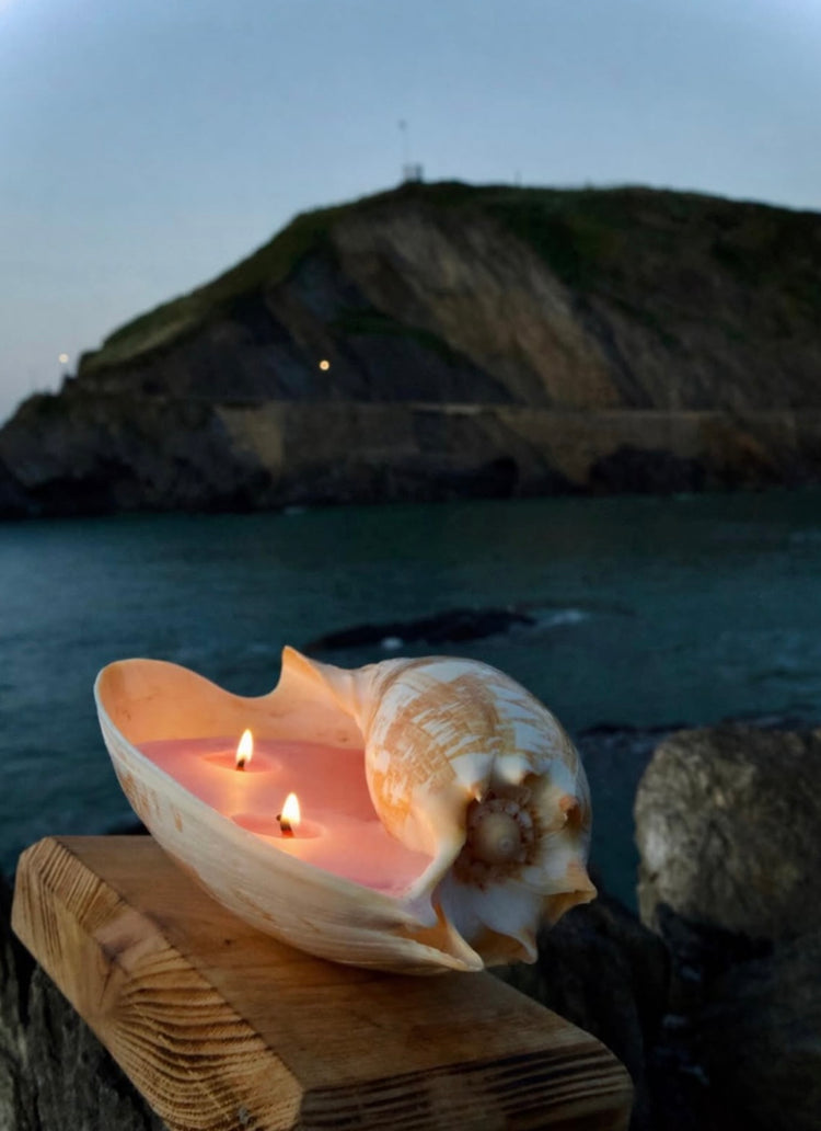 Coastal Living & Sea Side Gifts