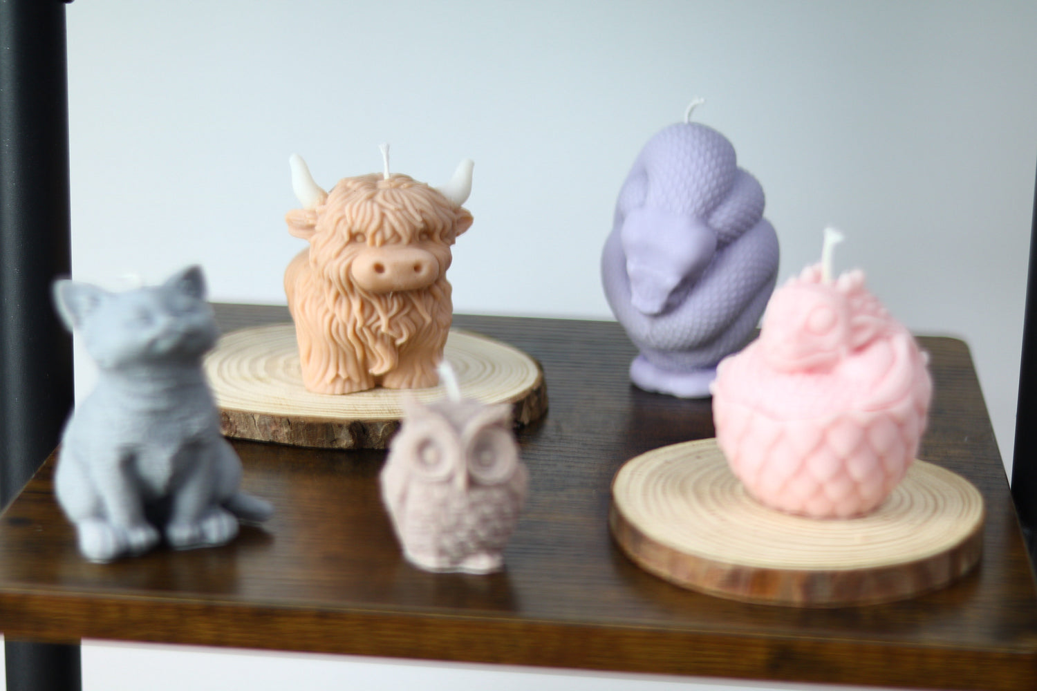 Animal Candles