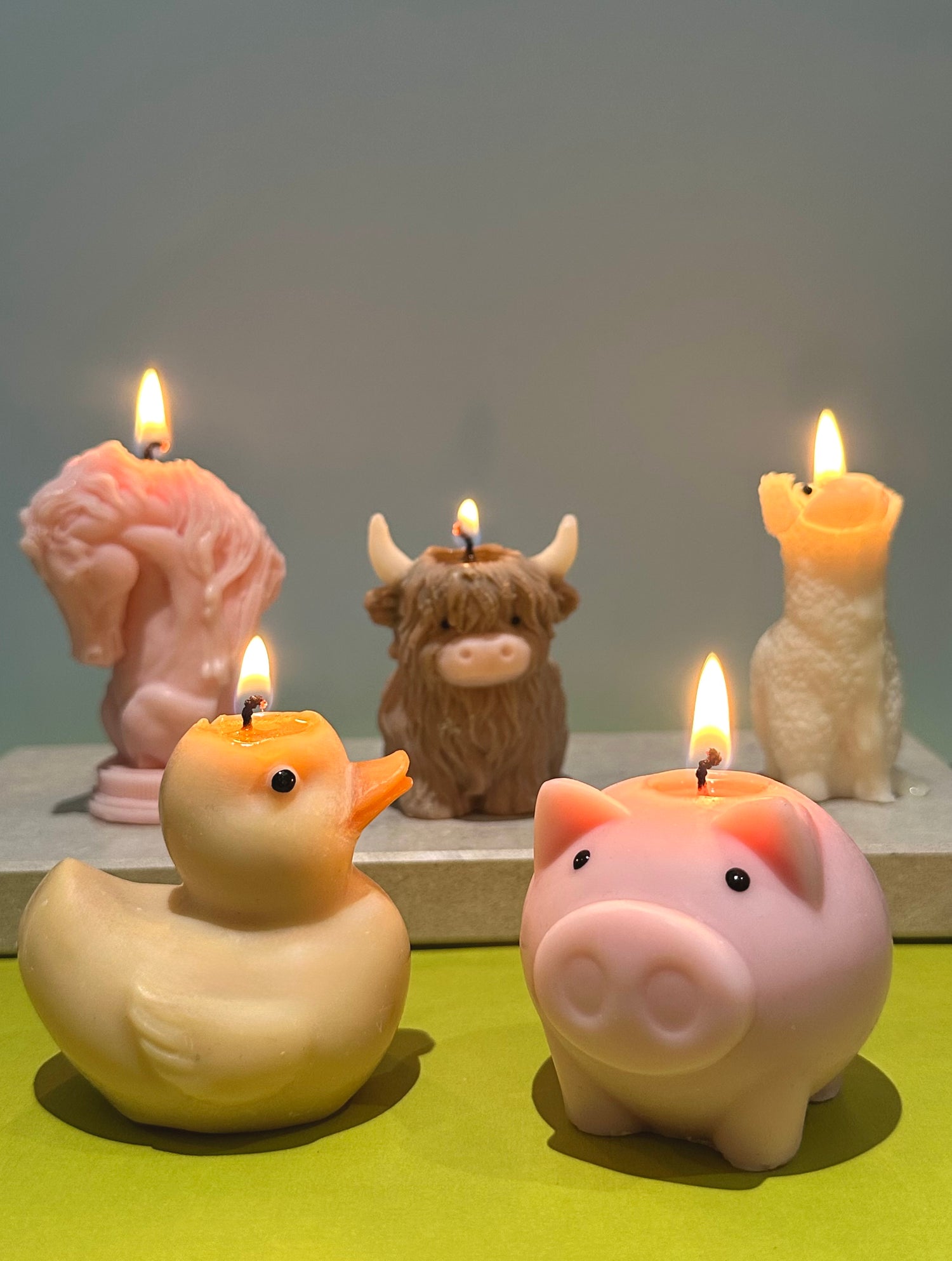 Animal Candles