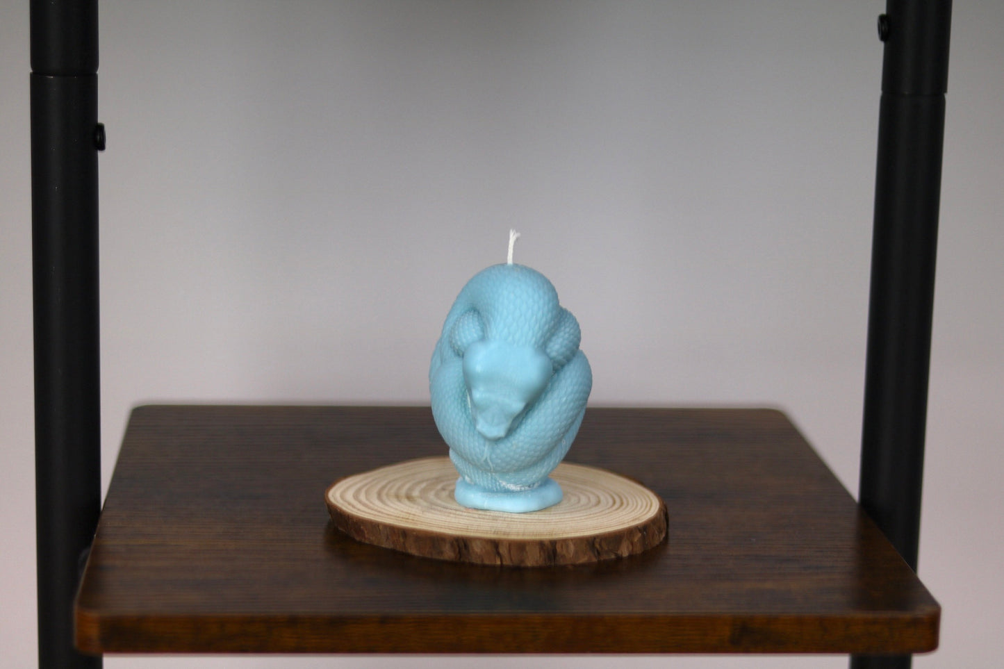 Snake Wrapped Candle