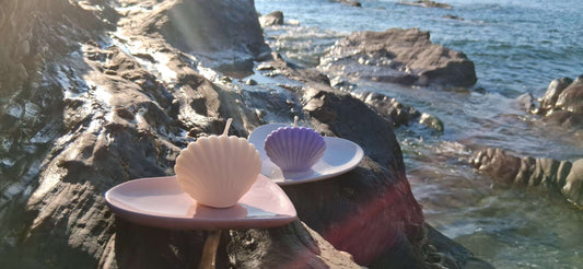 Small Shell Candle