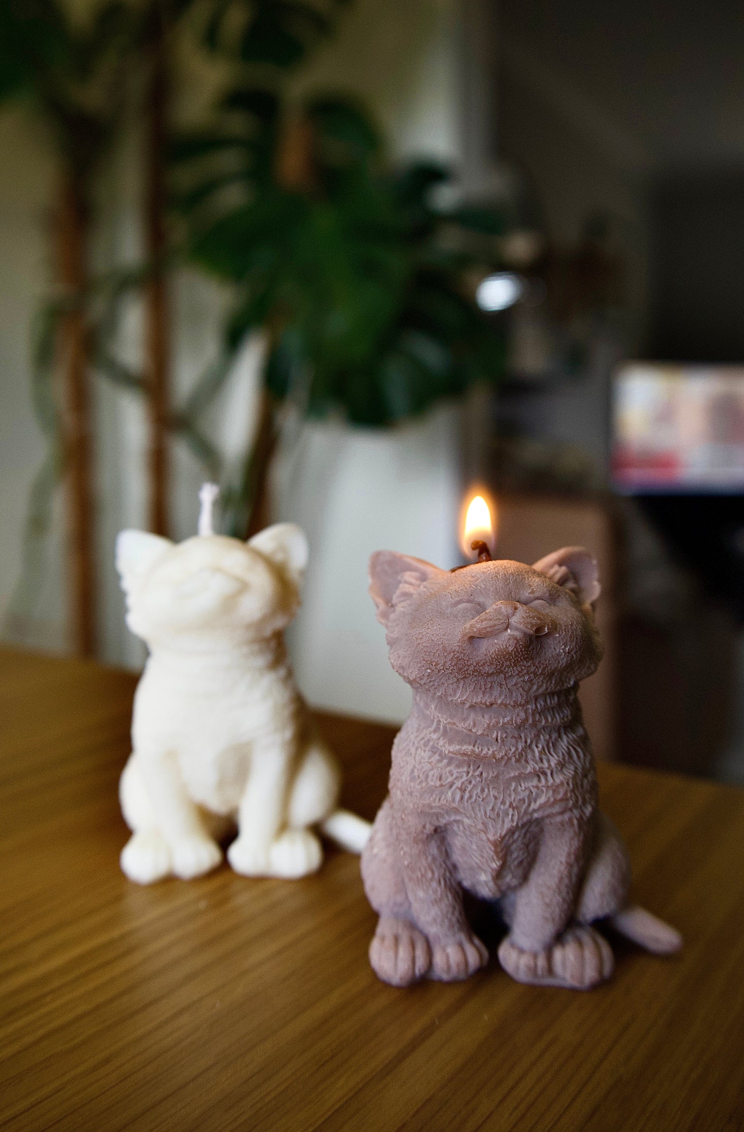 Cat Candle
