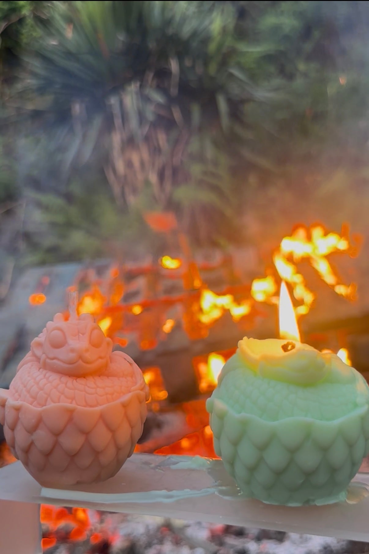 Dragon In A Shell Candle