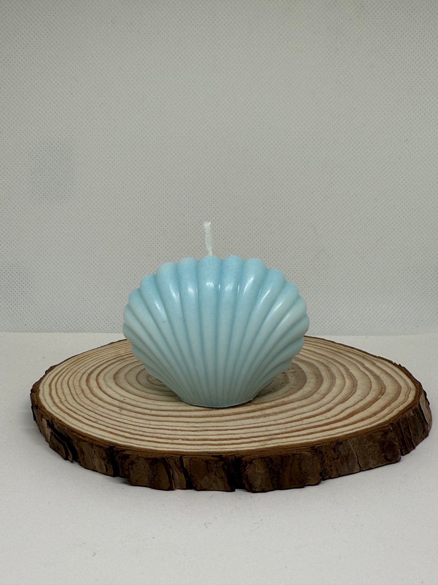 Small Shell Candle