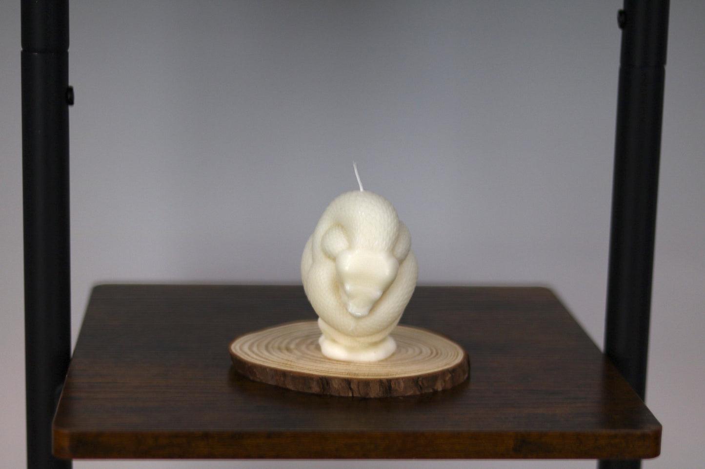 Snake Wrapped Candle