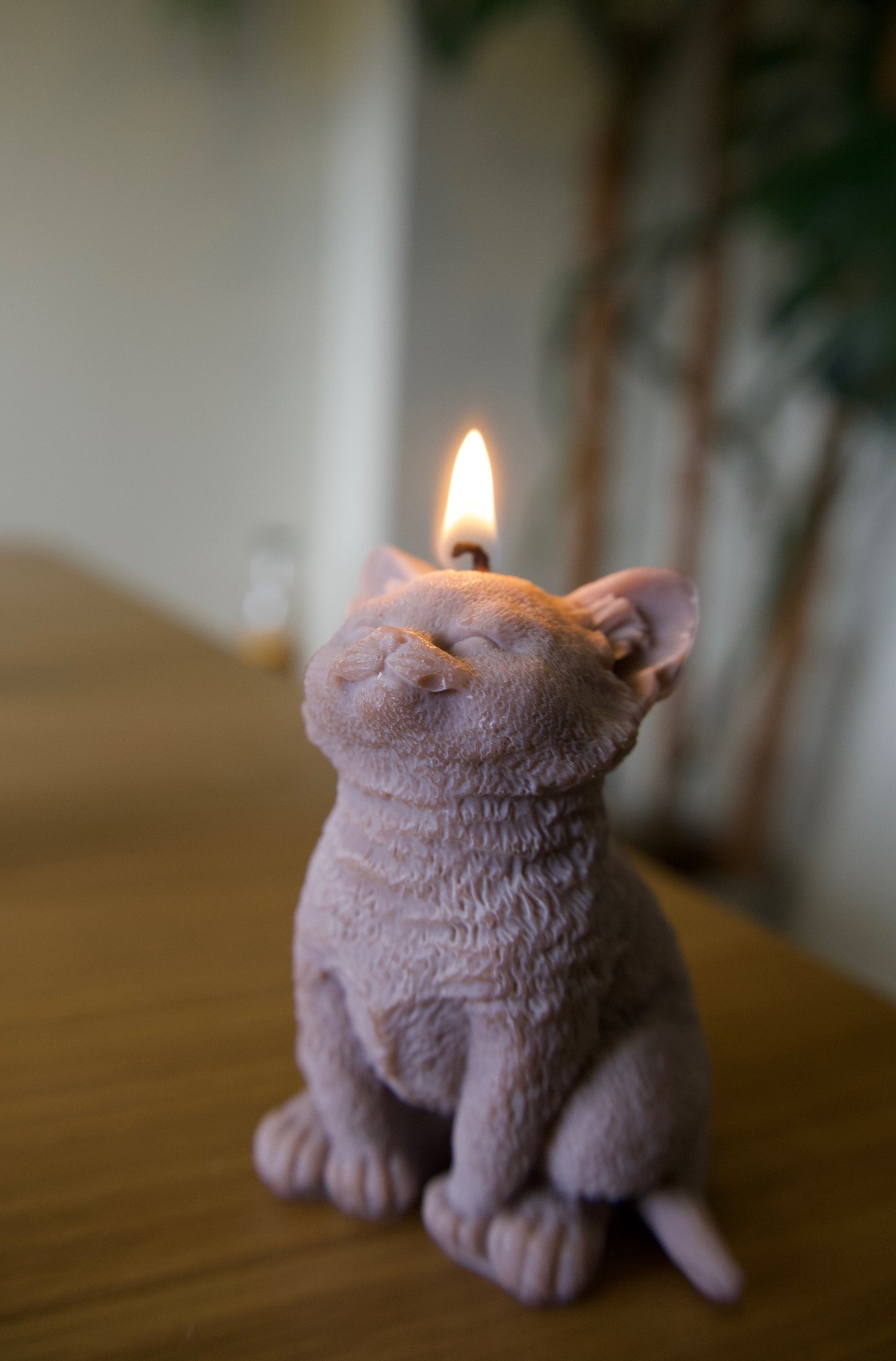 Cat Candle