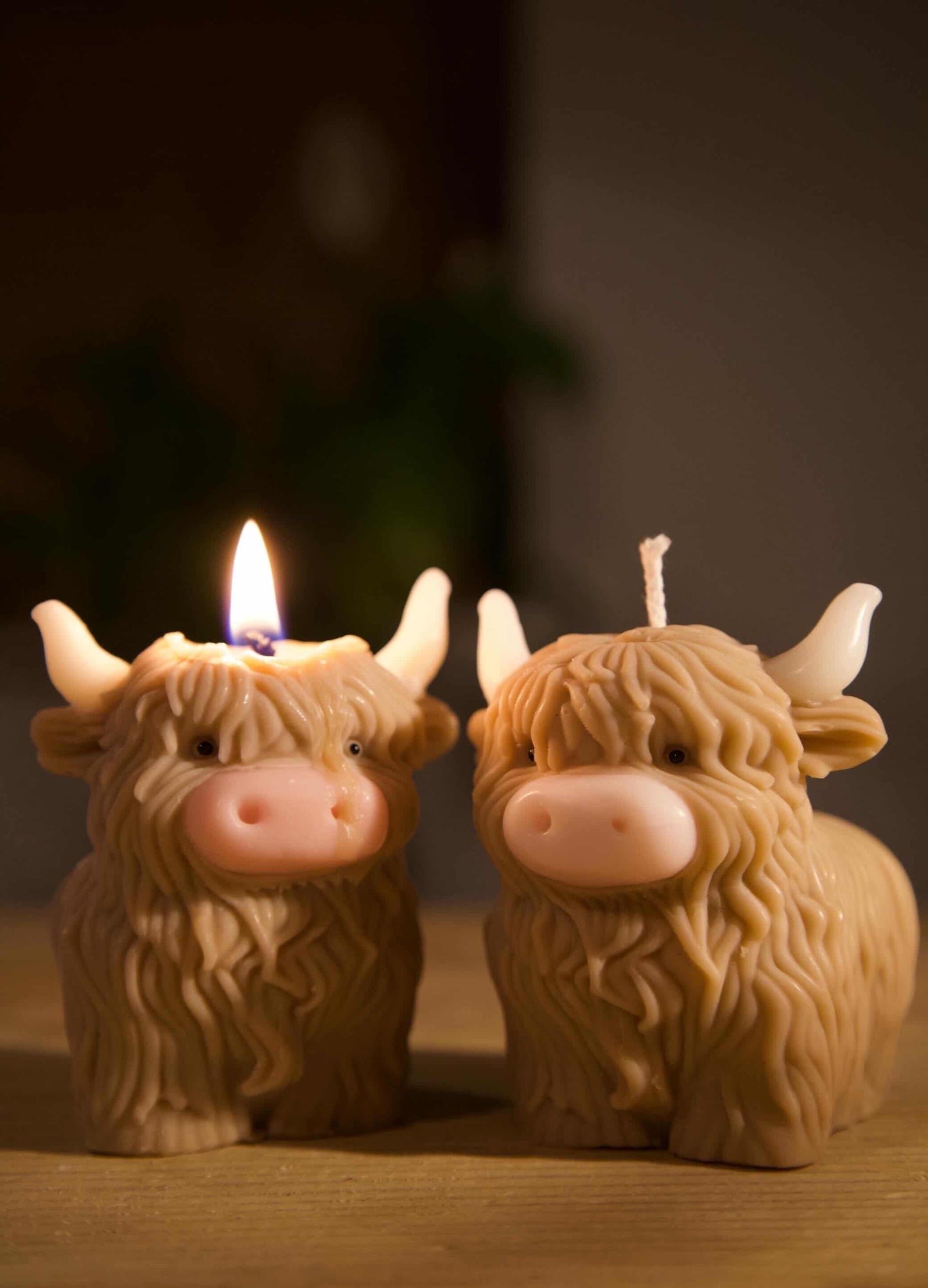 HighLand Cow Candle