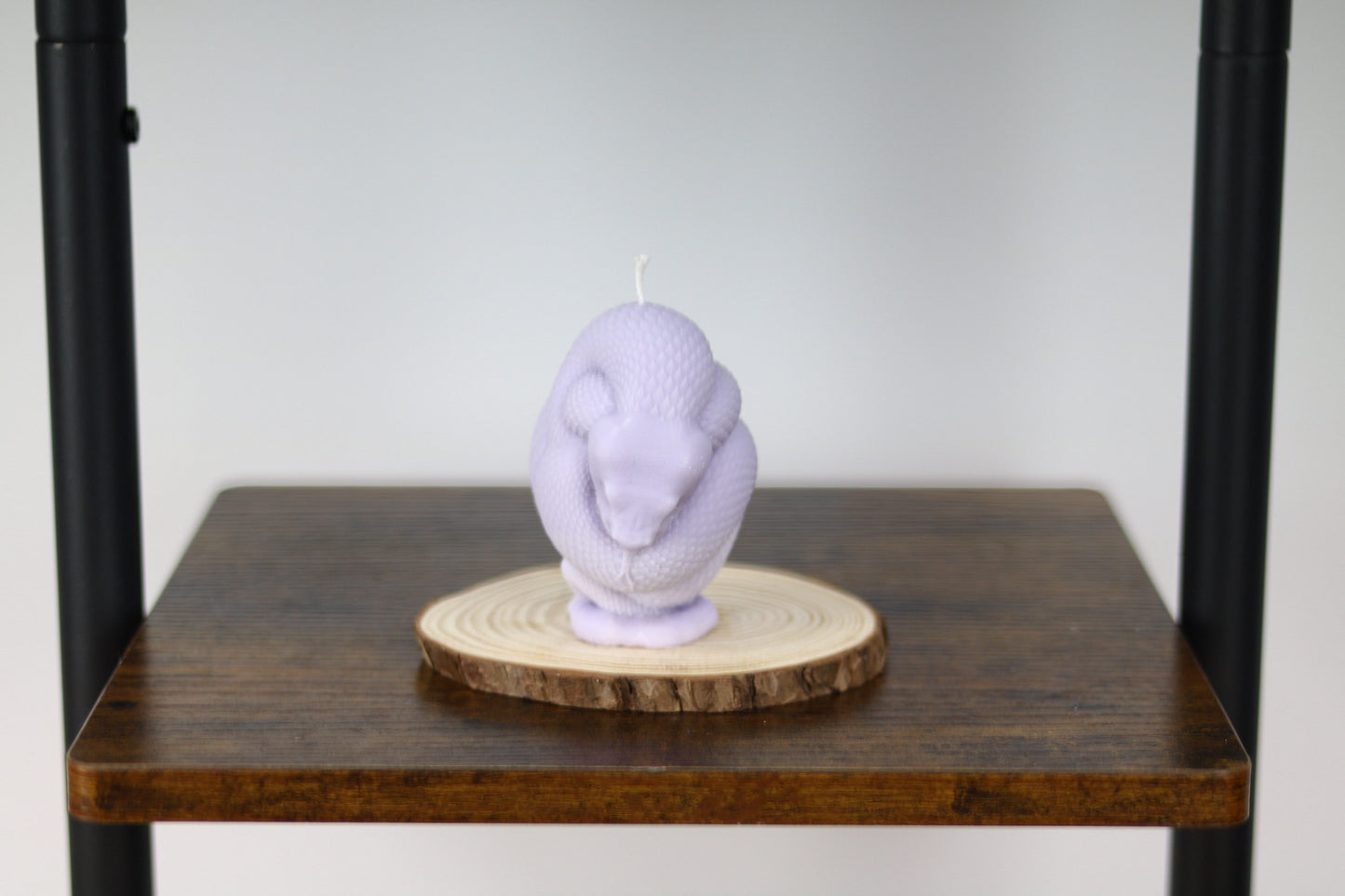 Snake Wrapped Candle