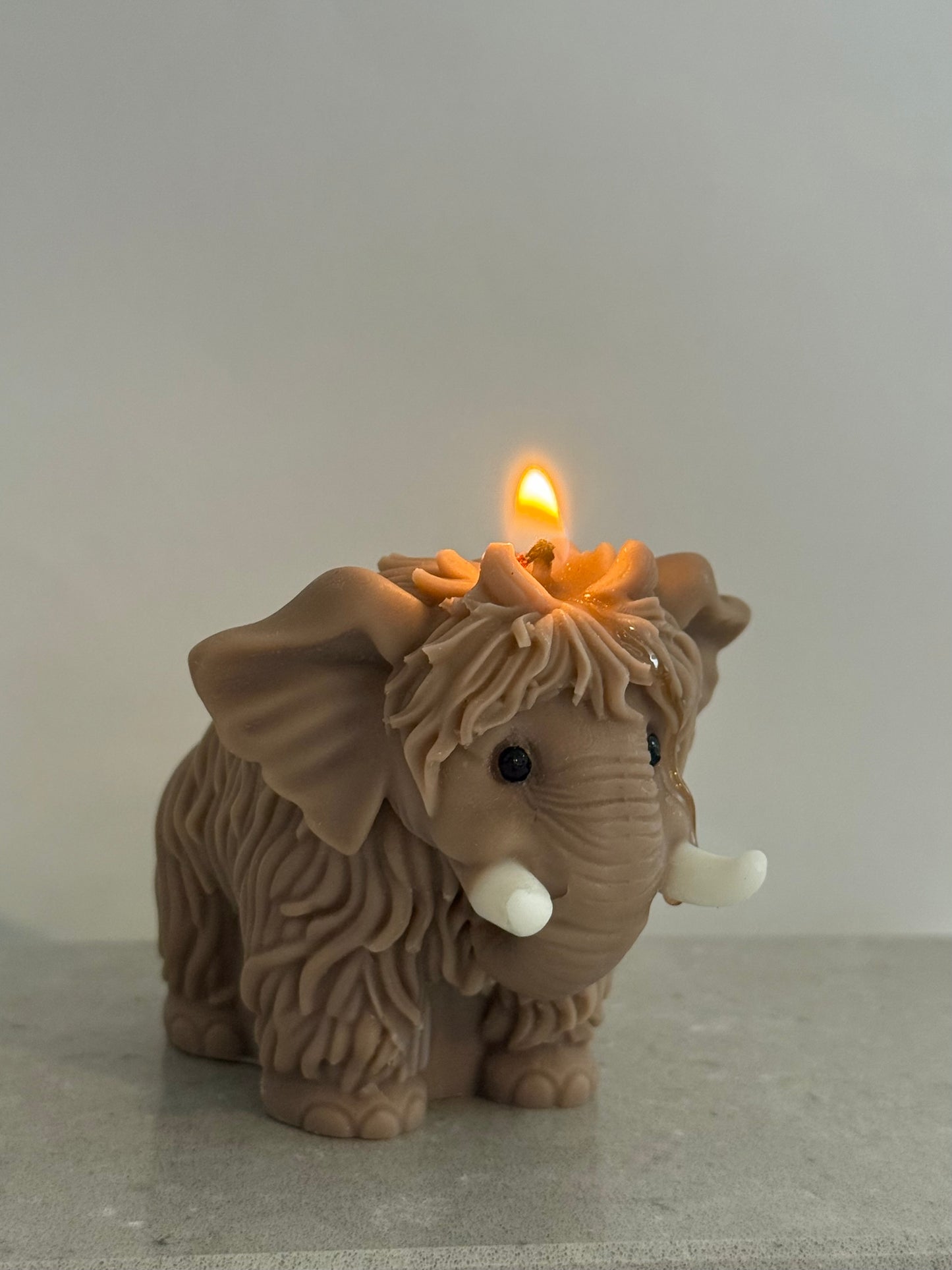 Mammoth candle