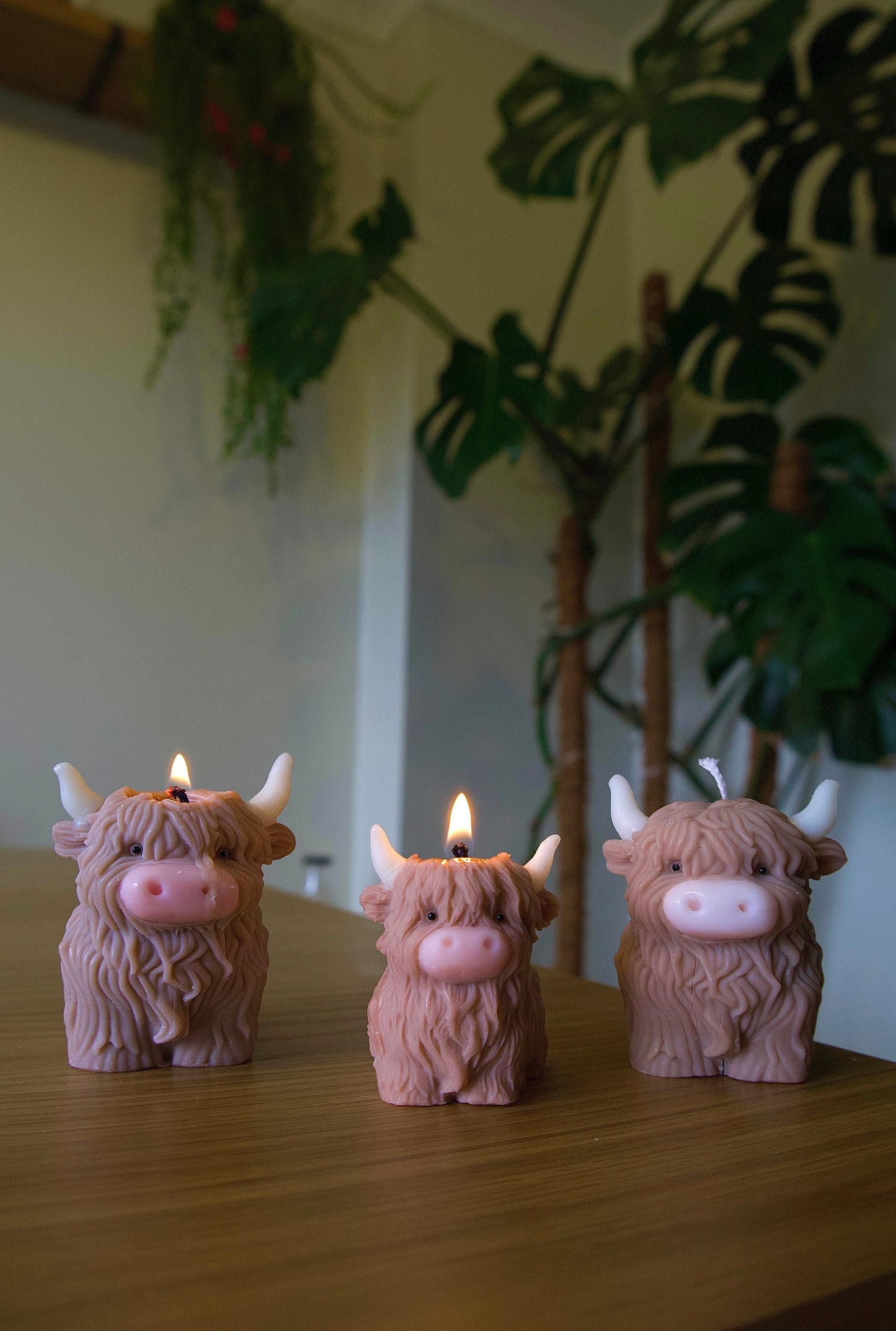 HighLand Cow Candle