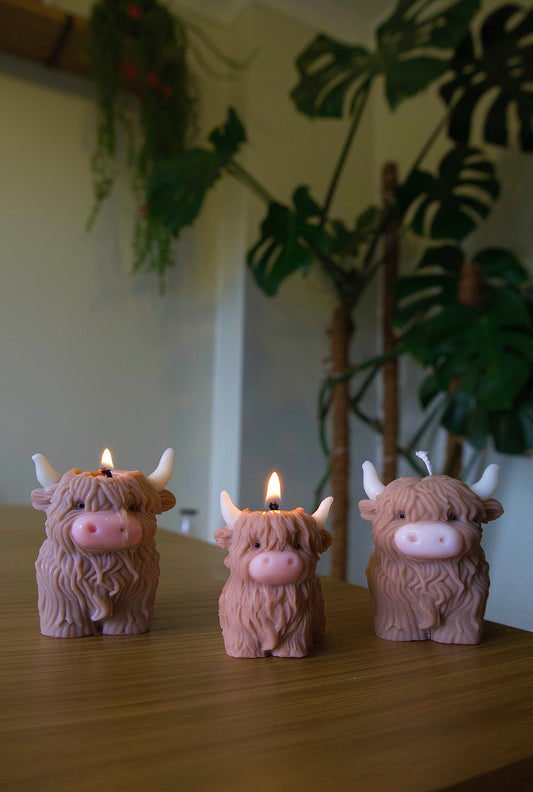 HighLand Cow Candle