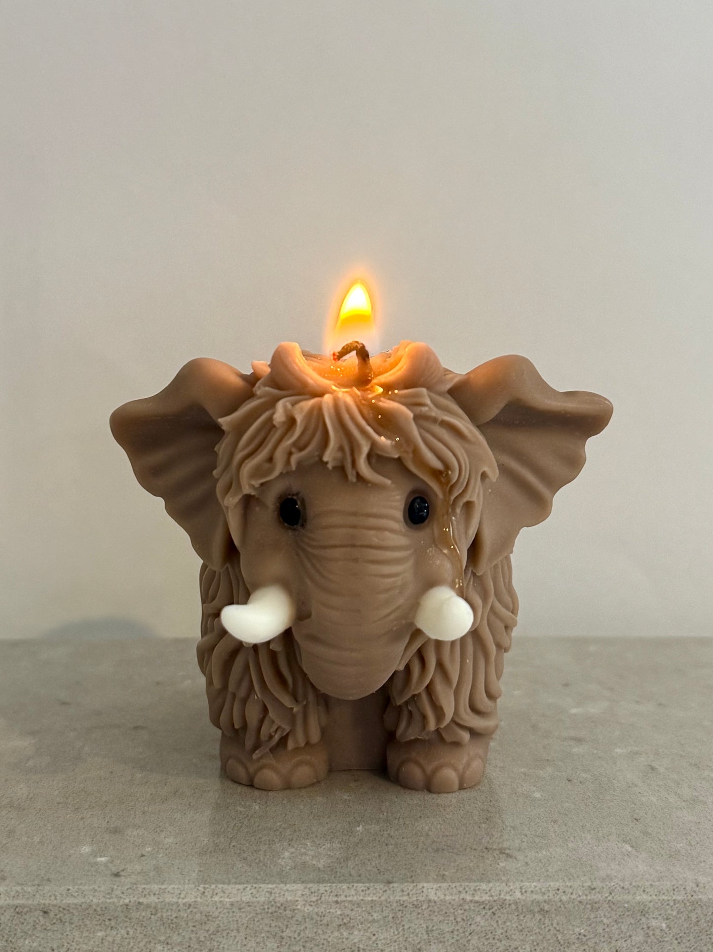Mammoth candle
