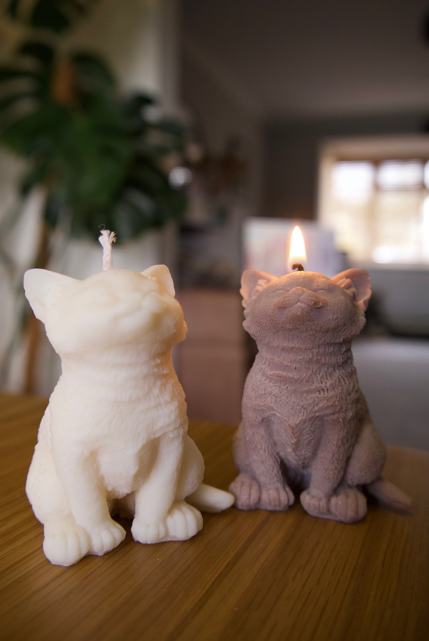Cat Candle