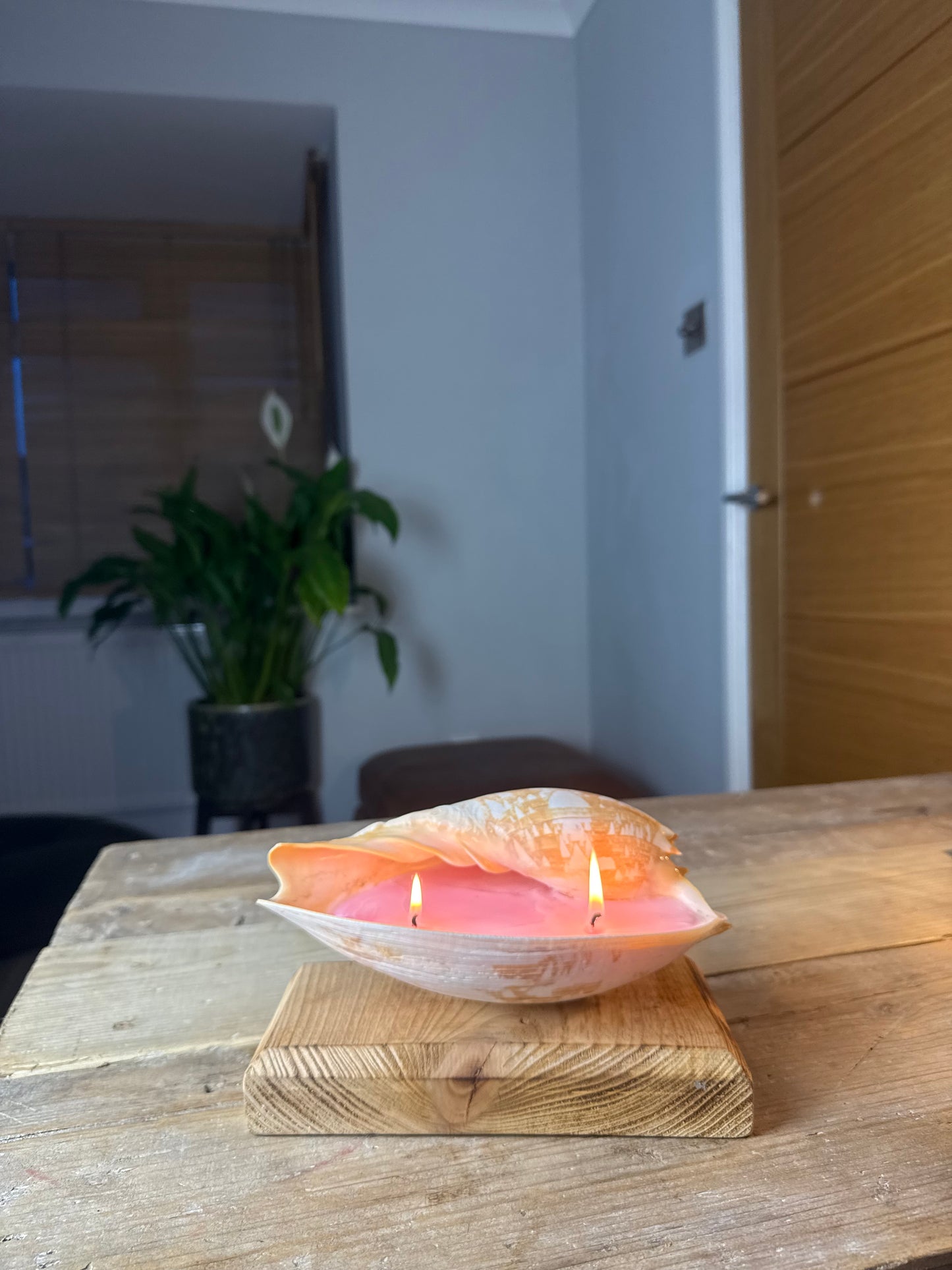 Sea Shell Candle