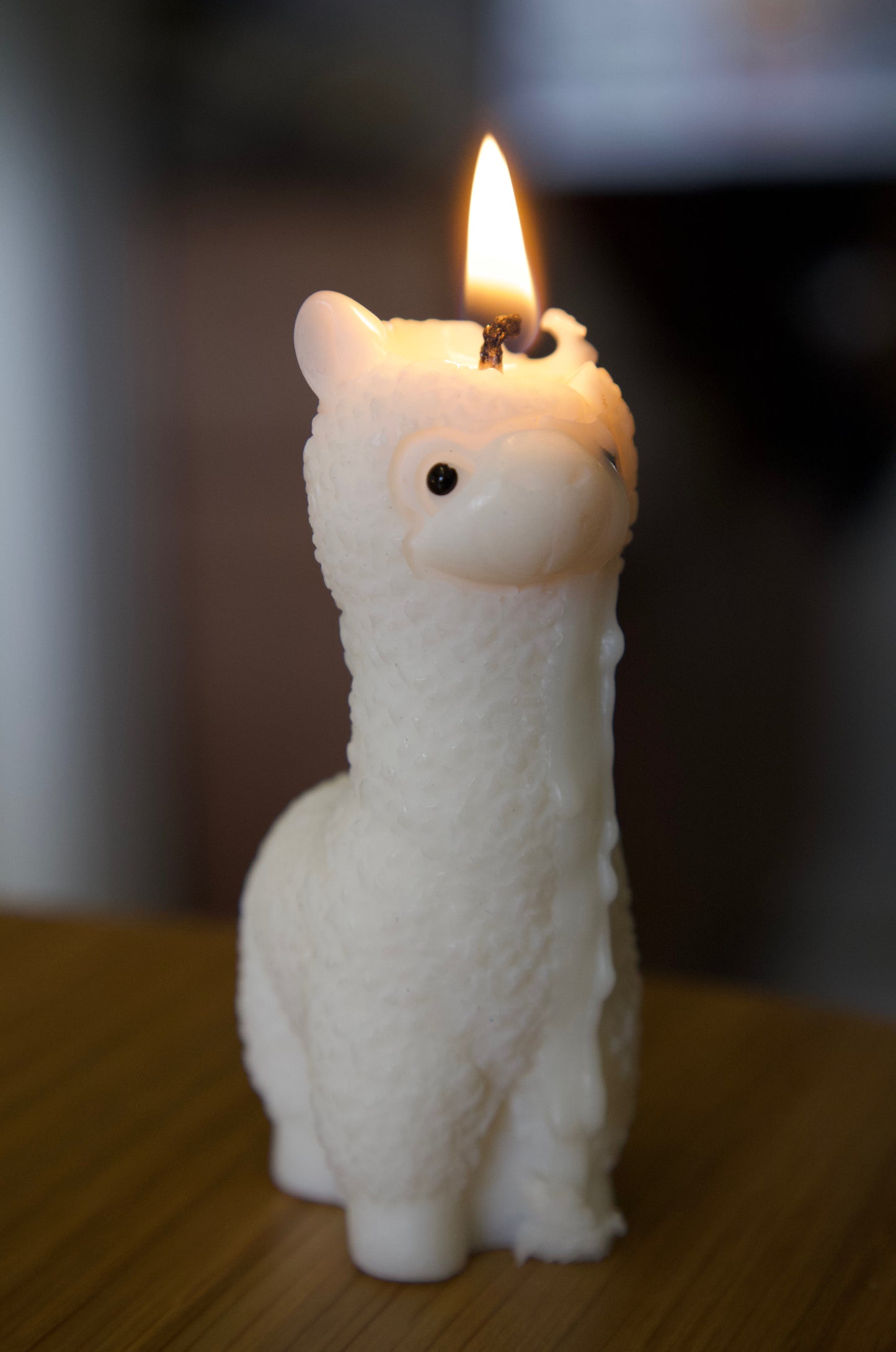 Llama Candle