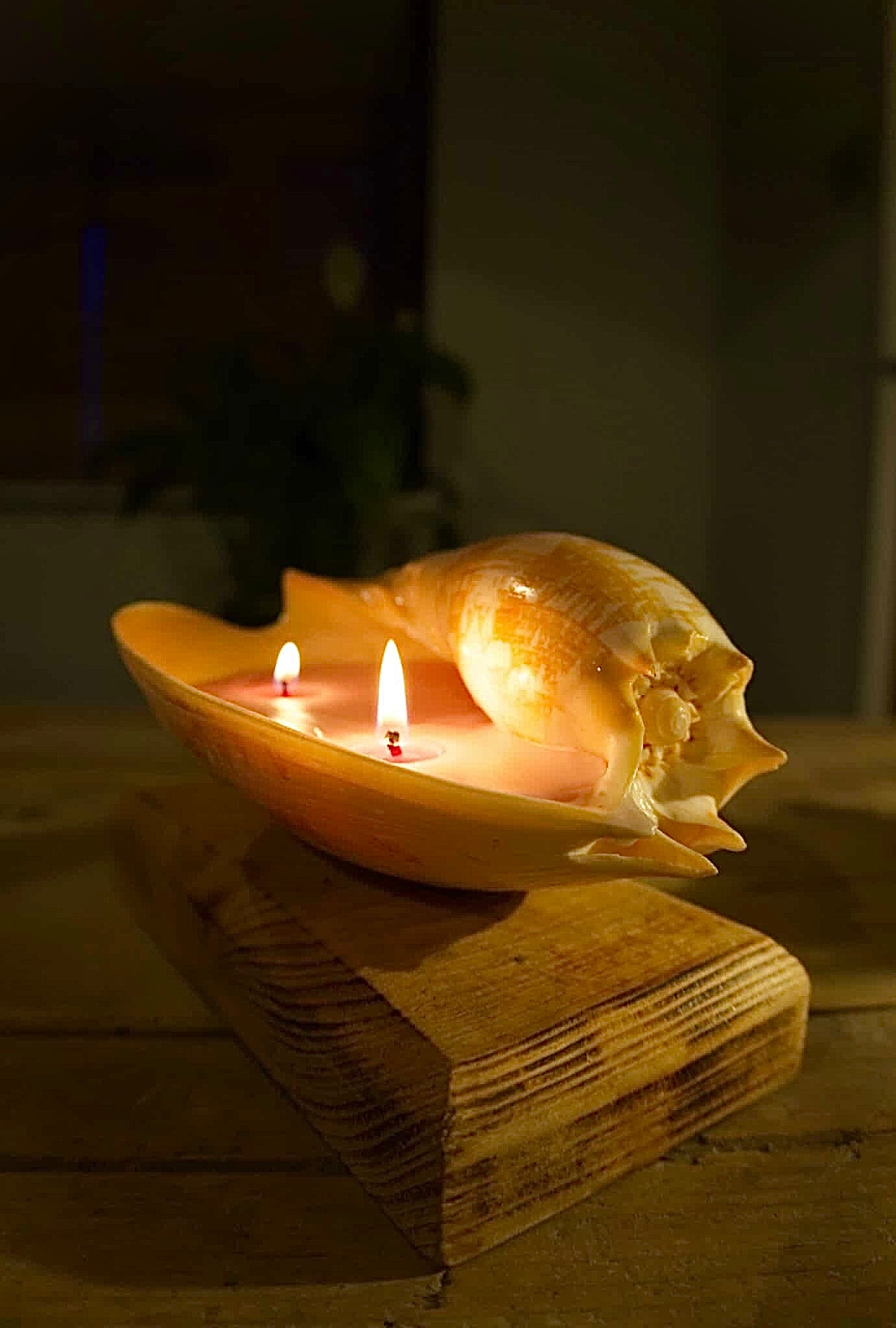 Sea Shell Candle