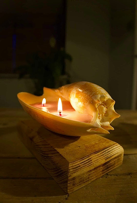 Sea Shell Candle