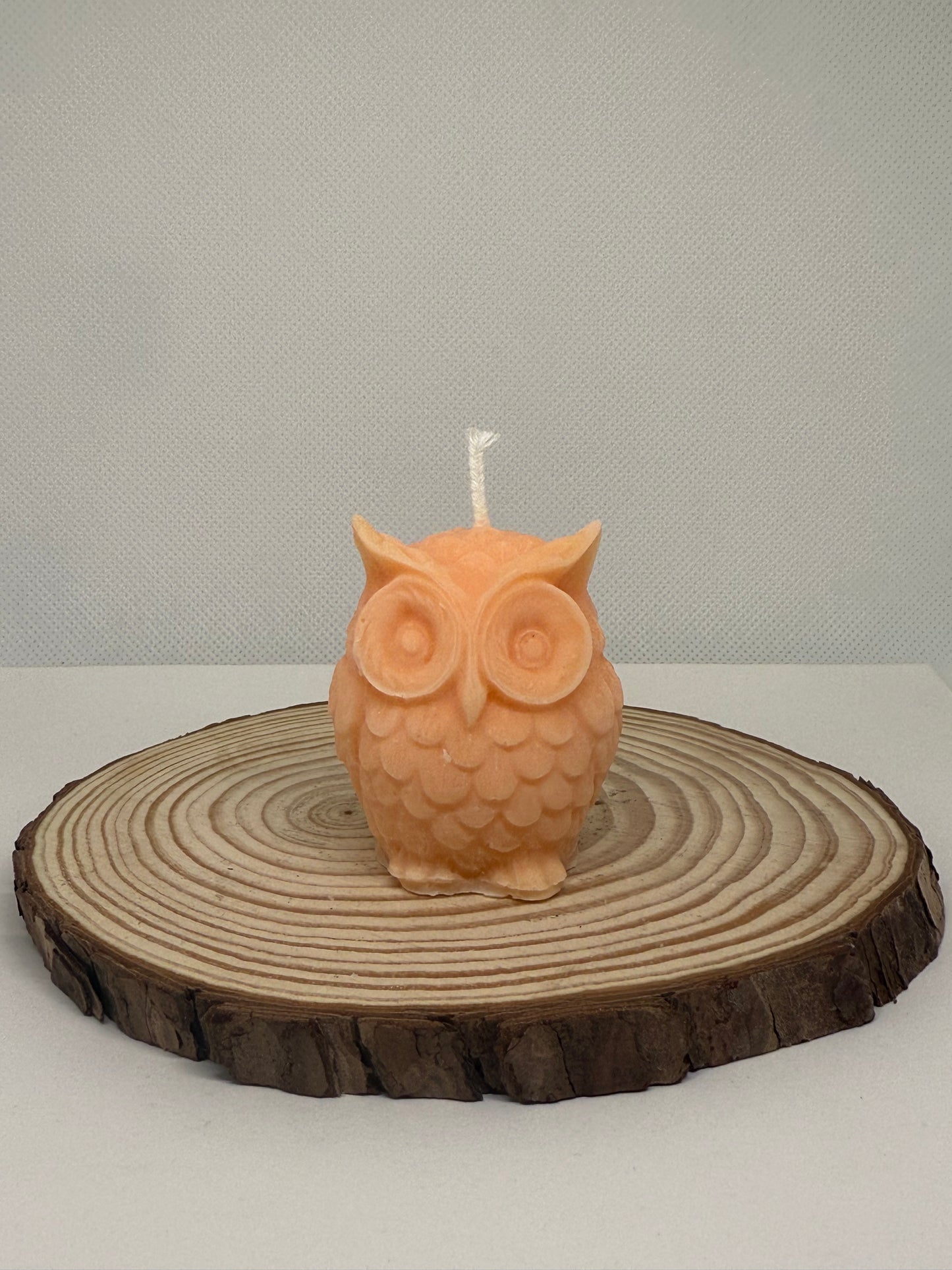 Owl Candle Gift Set (6 Pack)