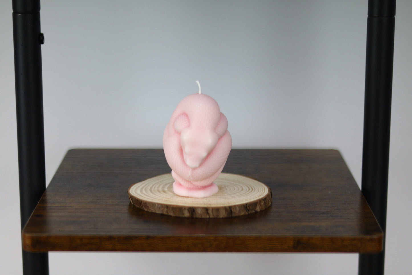 Snake Wrapped Candle