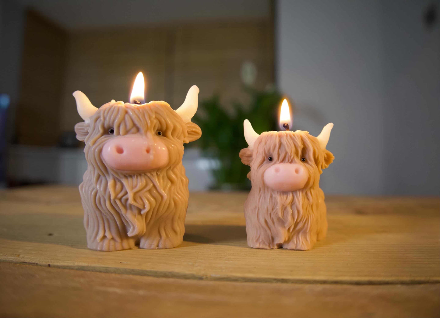 HighLand Cow Candle