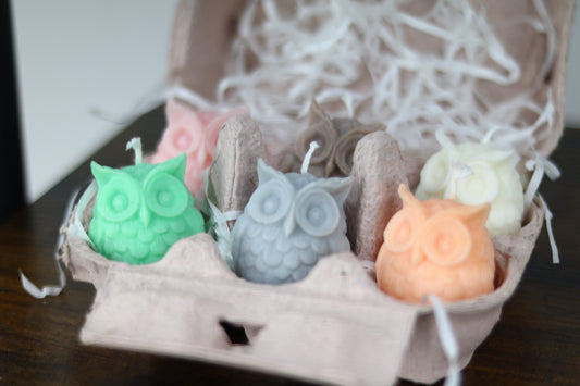 Set Of 6 Scented Owl Candles