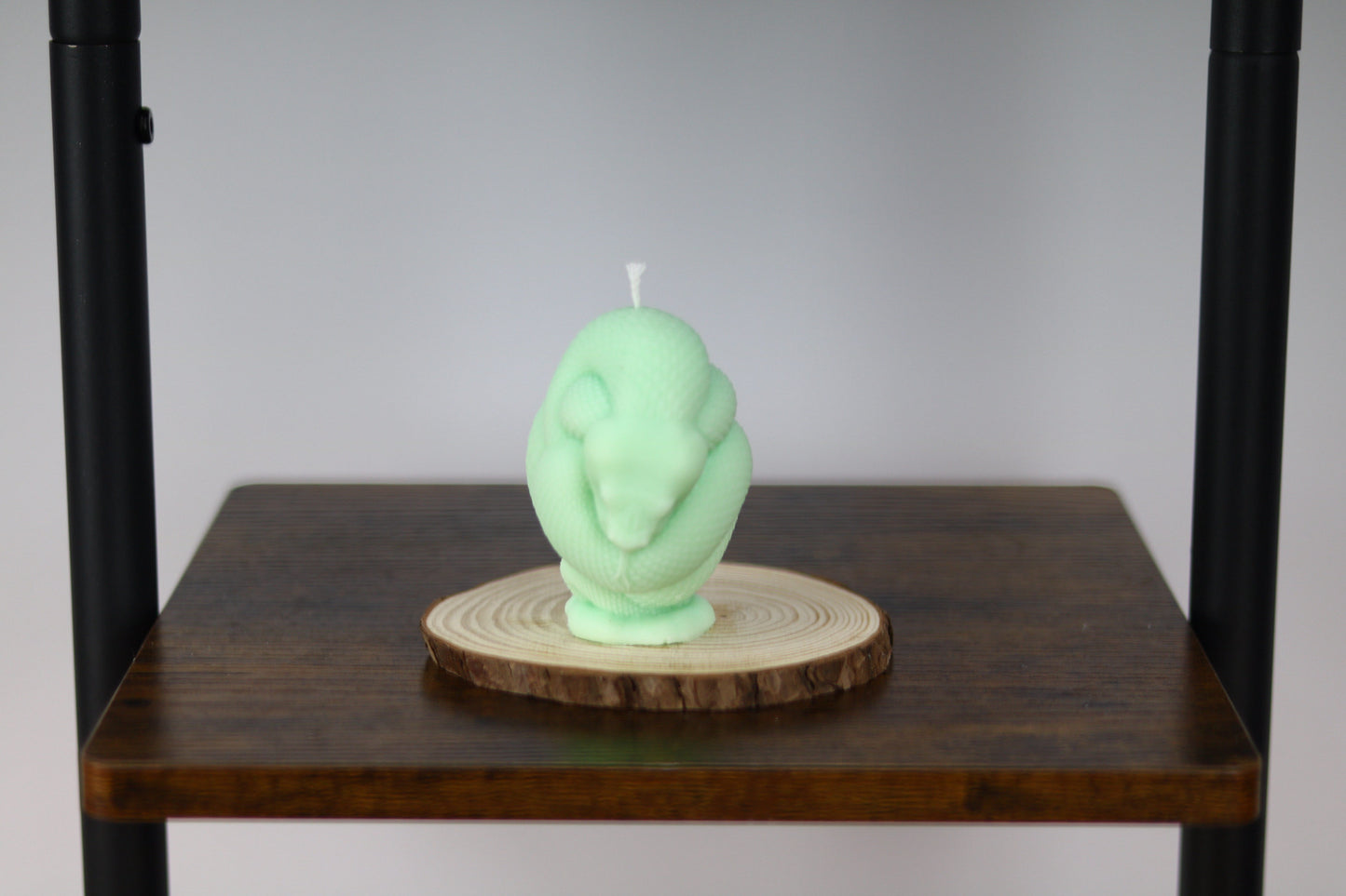 Snake Wrapped Candle