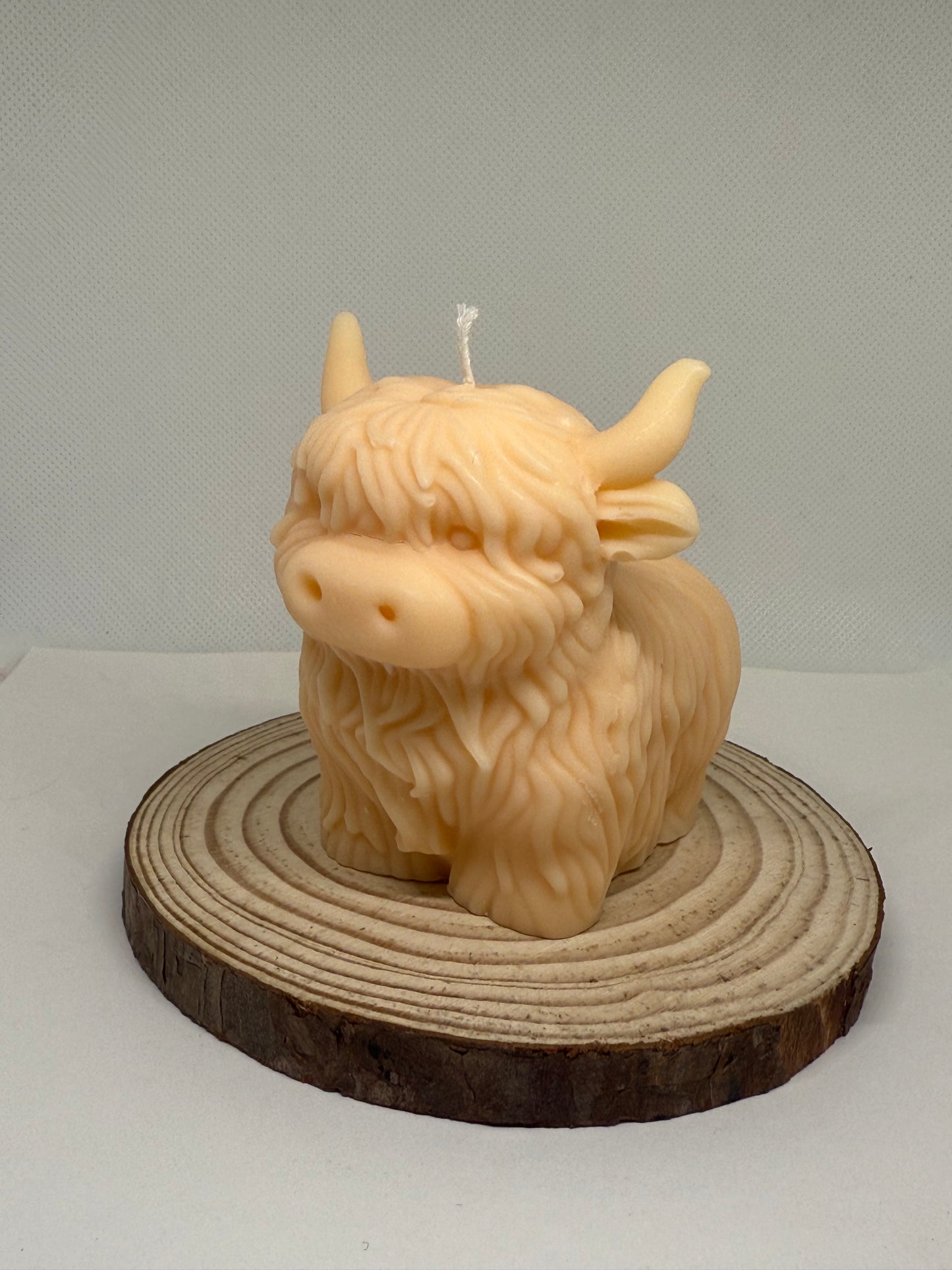 HighLand Cow Candle