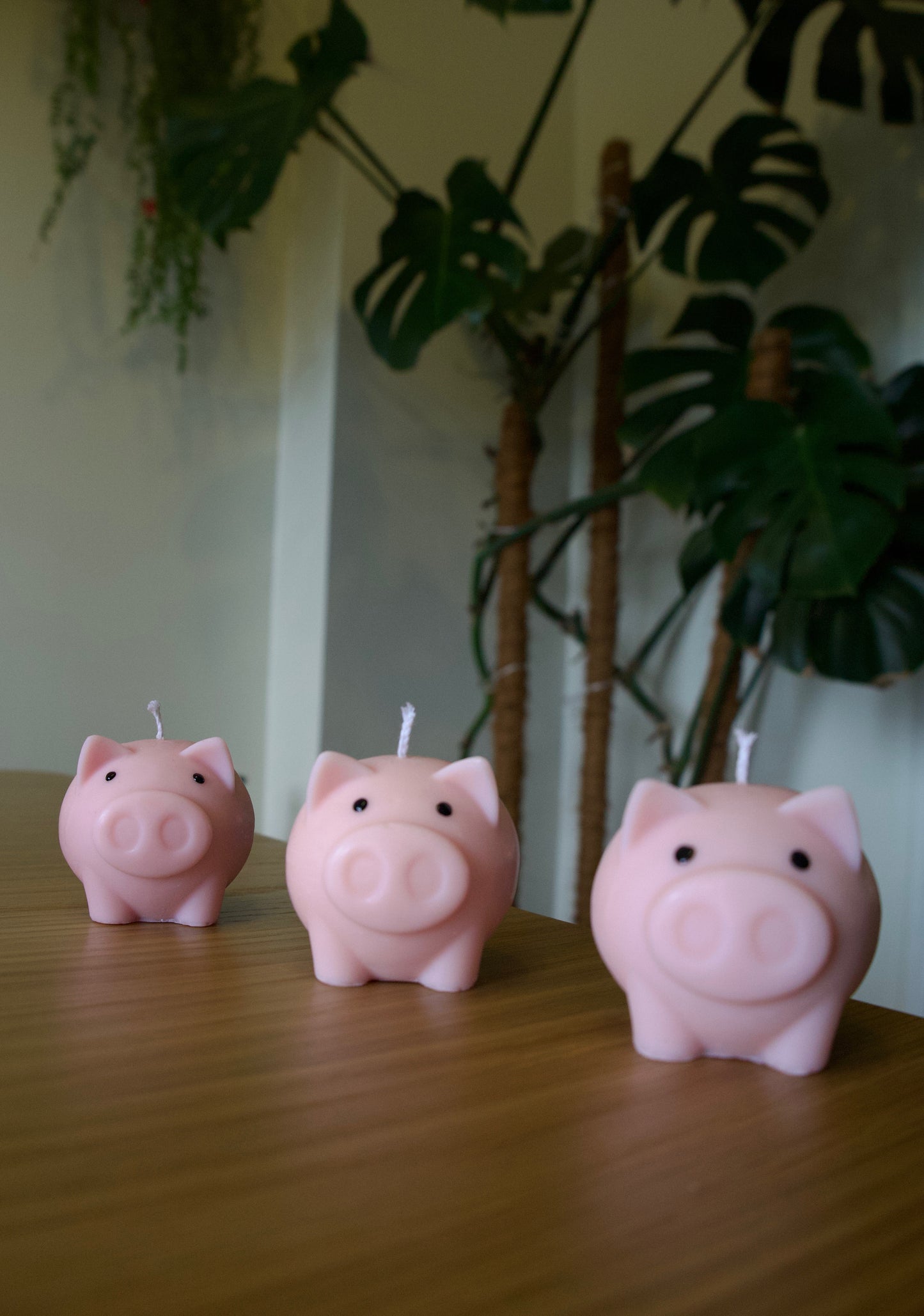 Pig Candle
