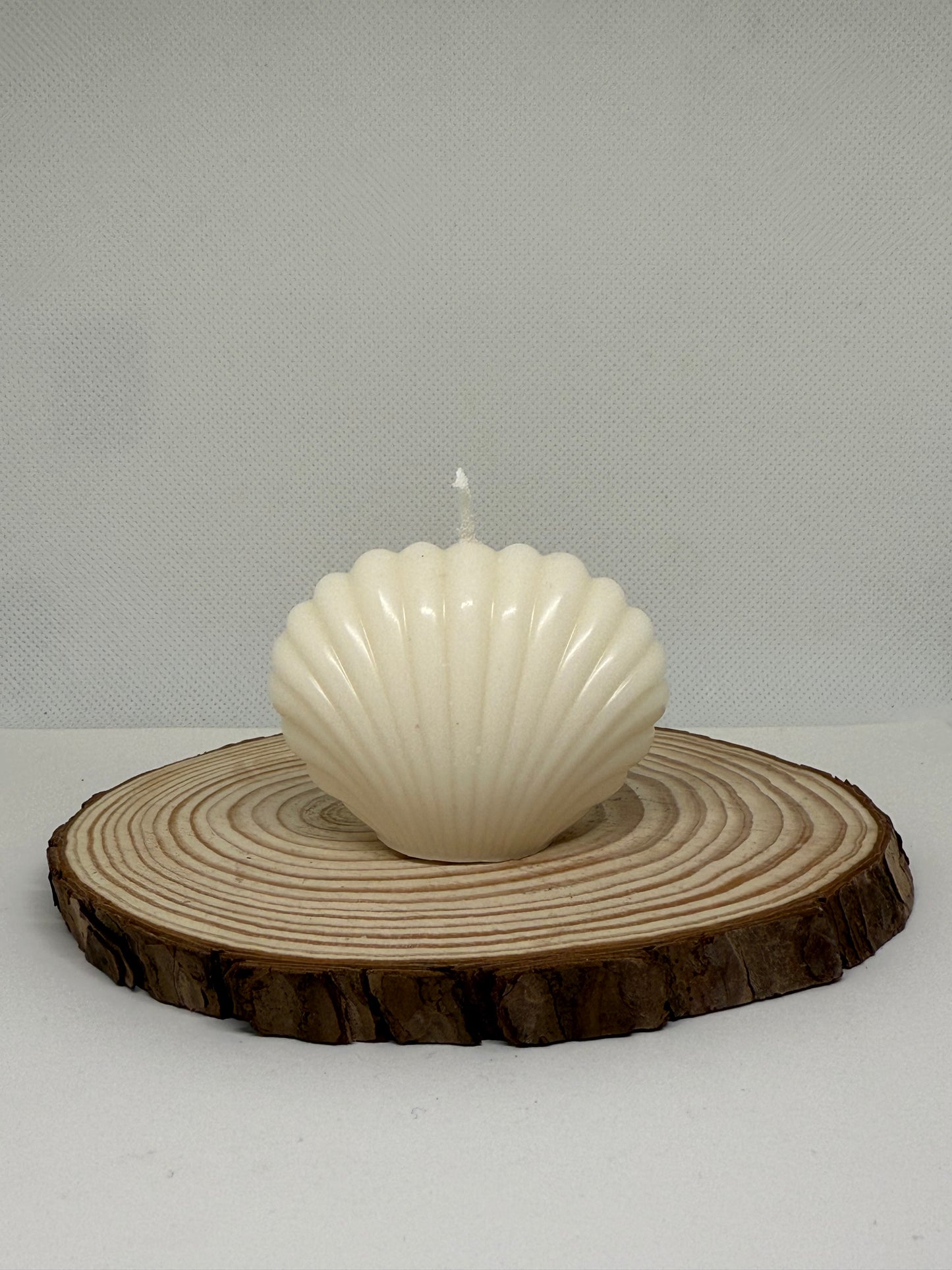 Small Shell Candle
