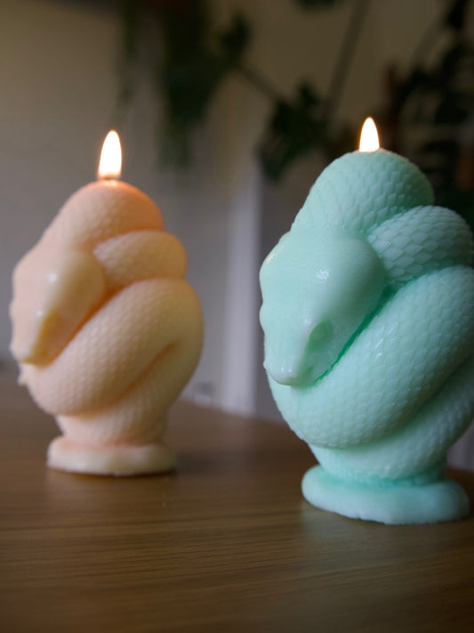 Snake Wrapped Candle