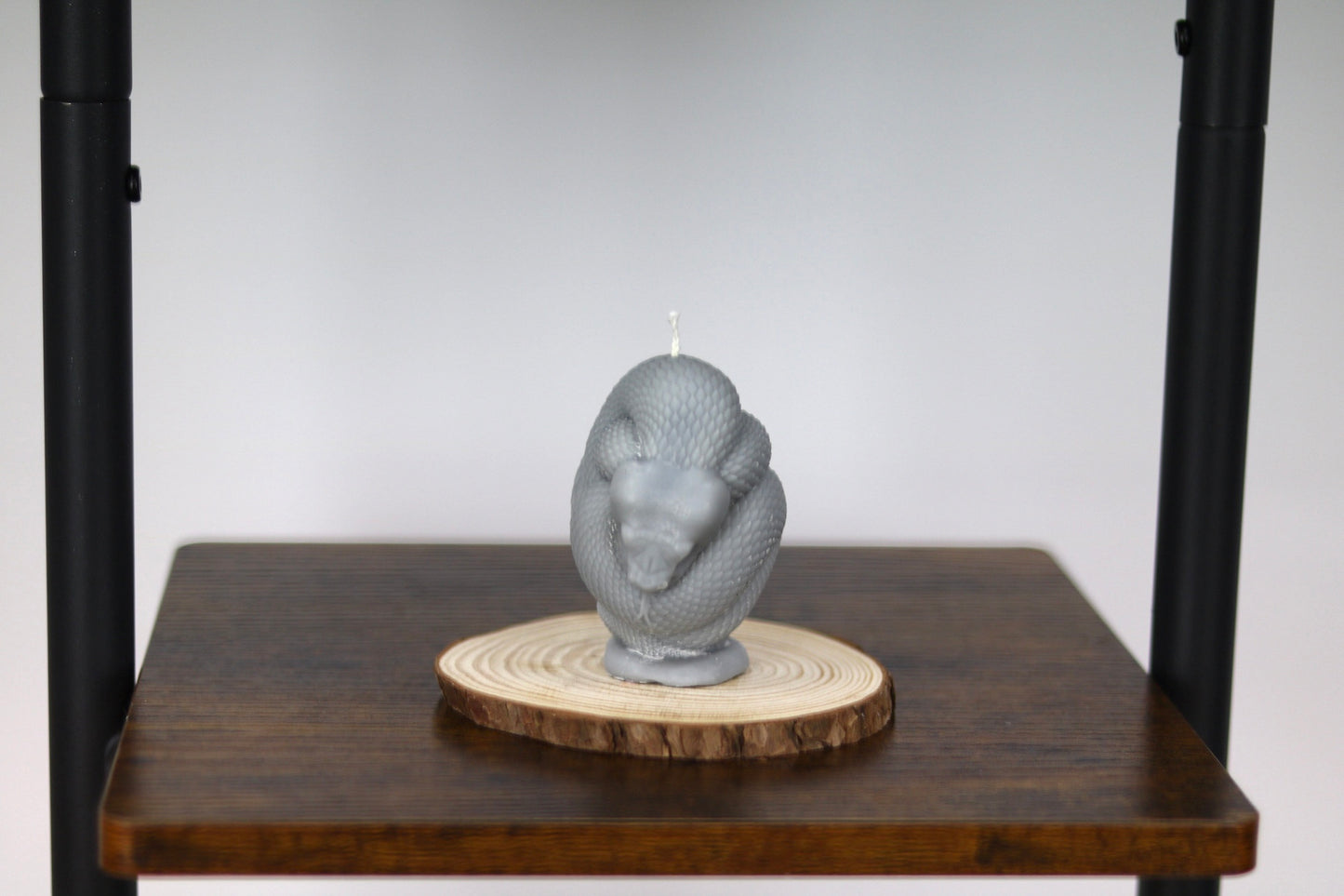Snake Wrapped Candle