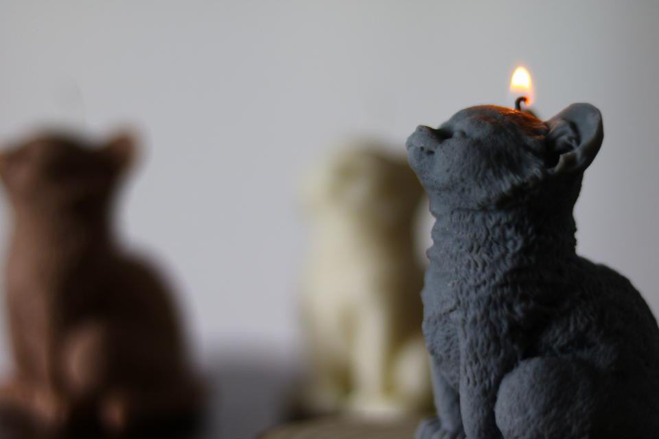 Cat Candle